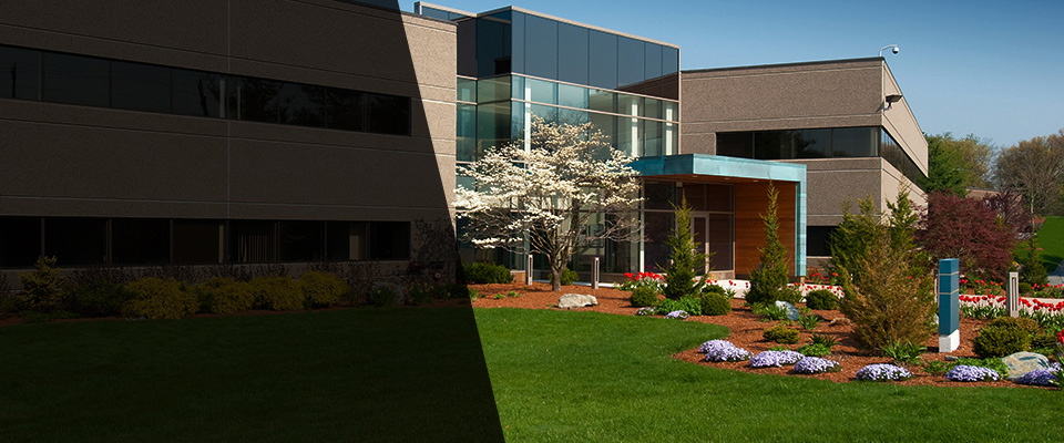 Diamond Bar Landscapers