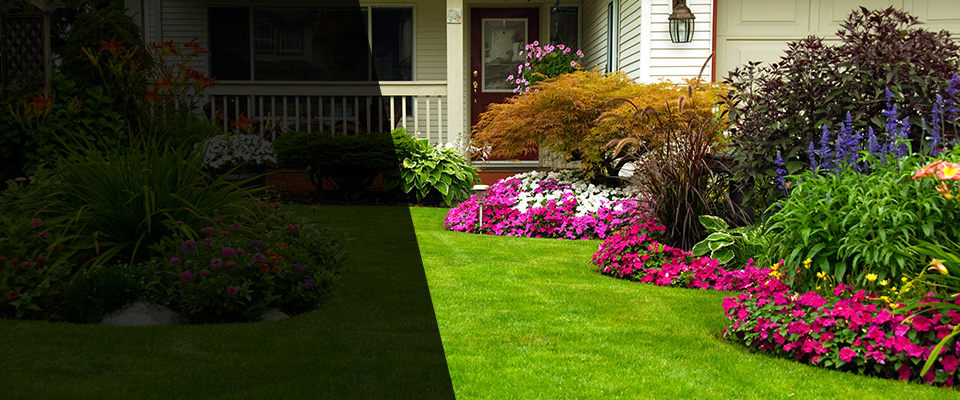 Diamond Bar Landscapers