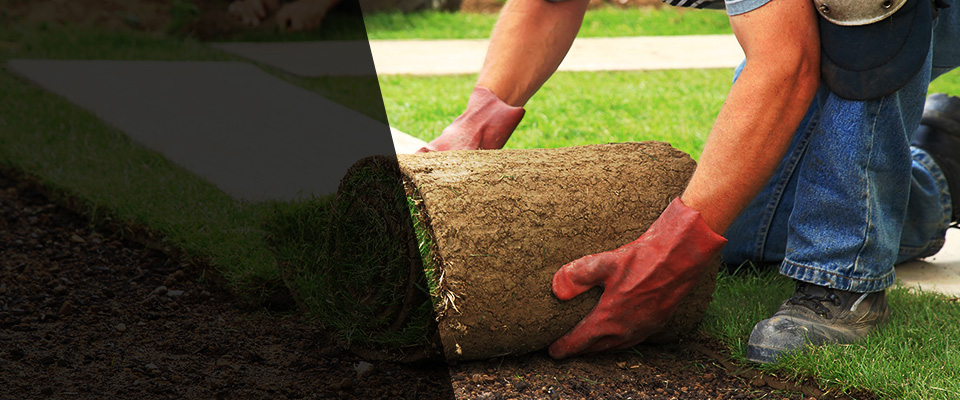 Diamond Bar Landscapers